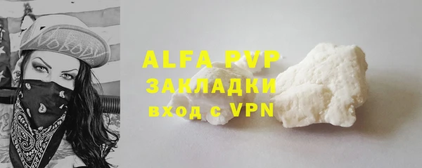 хмурый Гусев