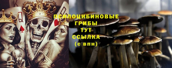 кокс Гусь-Хрустальный