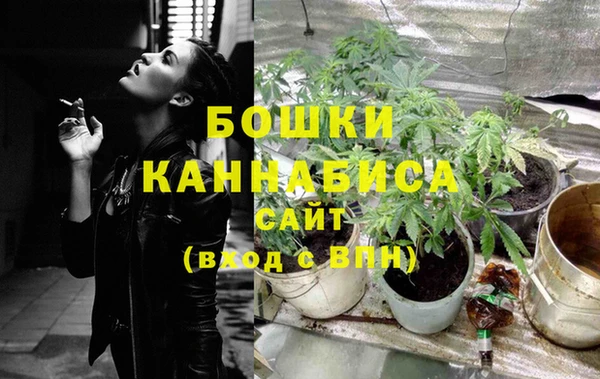 хмурый Гусев